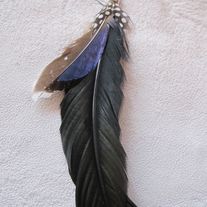 SAO PAULO Black Feather Earring