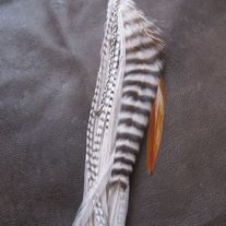 SAHARA Silver Feather Earring