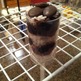 Cupcake Shots with a boost of Inspiration! - Thumbnail 2