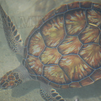 2010_cruise_120_copy_medium