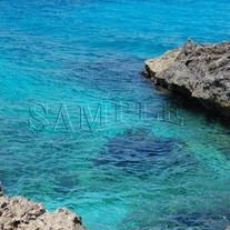 2010_cruise_063_copy_medium
