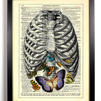 A_20belly_20full_20of_20butterflys_medium