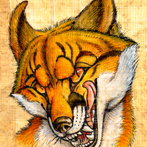 Smb-slyly-fox_medium
