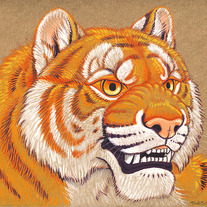 Smb-eagle-eyed-tiger_medium
