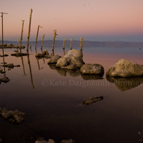 Salton Sea #1