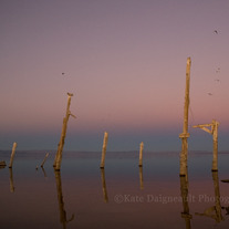 Salton Sea #2