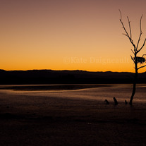 Salton Sea #4