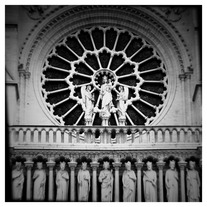 12x12 | The window of Notre Dame.