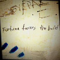 8x8 | Fortune favors the bold, Greek wisdom.