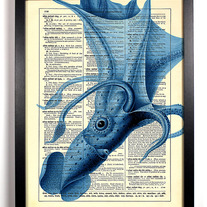 Squid, Vintage Dictionary Print, 8 X 10