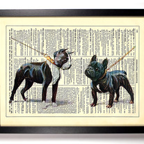 Dogs_205_medium