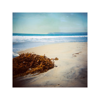 Coronado Island