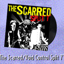 2005 SPLIT 7"