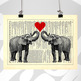 Elephants_20in_20love_202_small