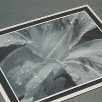 P7180200_medium