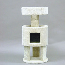 10063_pid_medium