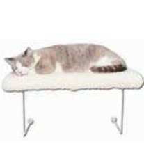 Lazy_pet_medium
