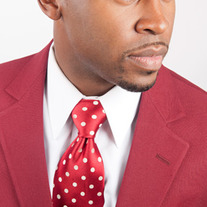 Official Grand Polemarch Tie