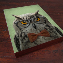 The Studious Owl - Wood Block Print