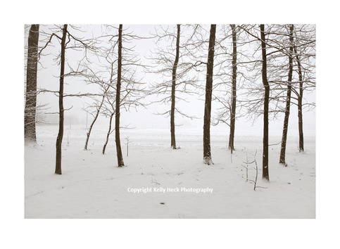 Emerging from Darkness - Limited Edition of 20