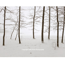 Emerging from Darkness - Limited Edition of 20