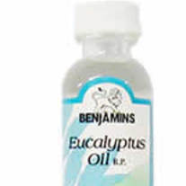 Eucalypus_20oil_medium