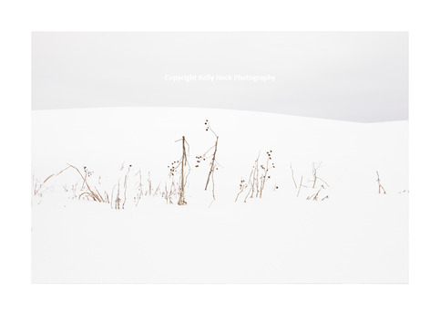 Within the Lines - Limited Edition of 20