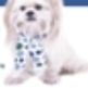 Banner_small