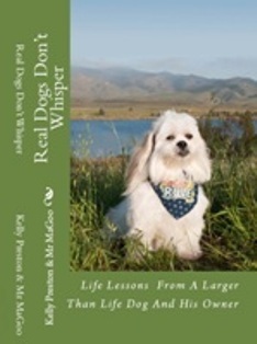 Bookcoverpreviewa_large