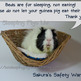 Sakurasafety2855_small