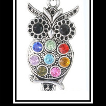 Multicolorowl1.1_medium