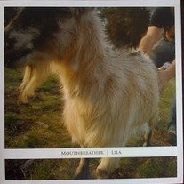 Mouthbreather - Lila 10"