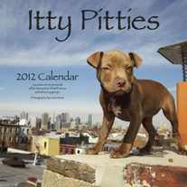 Ittypitties-calenderfront_medium