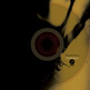 thisquietarmy - Blackhaunter CD - Thumbnail 3