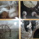 TQA010 - thisquietarmy - Luftpost CDR/DVDR - Thumbnail 2