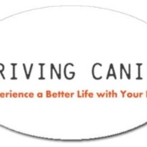 Thriving Canine Bumper Sticker