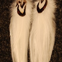Feather Earrings 81