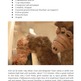 The Devastator #3: Cats - Thumbnail 4