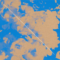 WL041 - .CUT FEATURING GIBET "LE MONSTRE QUI N'AVAIT PAS DE NOM" (CDr)