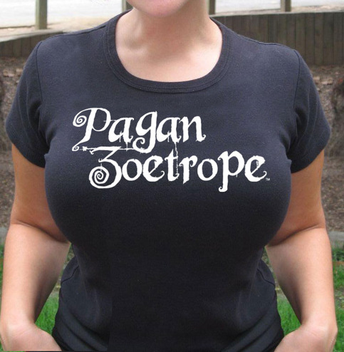 Pz_shirt1_logo_front_large