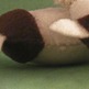 Moocow_20007_small