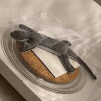 Fire_20lizzard_20001_medium