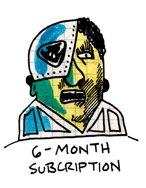 6 Month Subscription