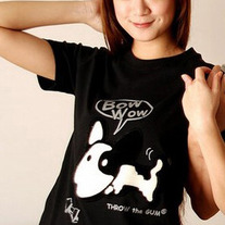 Ts_201_medium