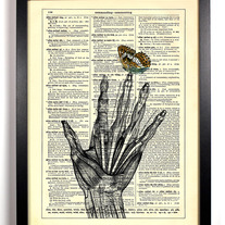 A Butterfly Landed On My Finger, Vintage Dictionary, 8 x 10