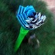 Photo_small