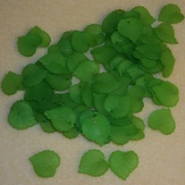 Leaves