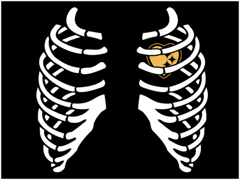 Ribcage_graphic_large