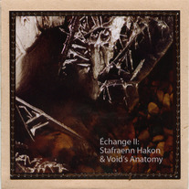 cbr-039:Echange 2 (Stafraenn Hakon & Void's Anatomy)
