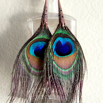 Natural Peacock Feather Earrings